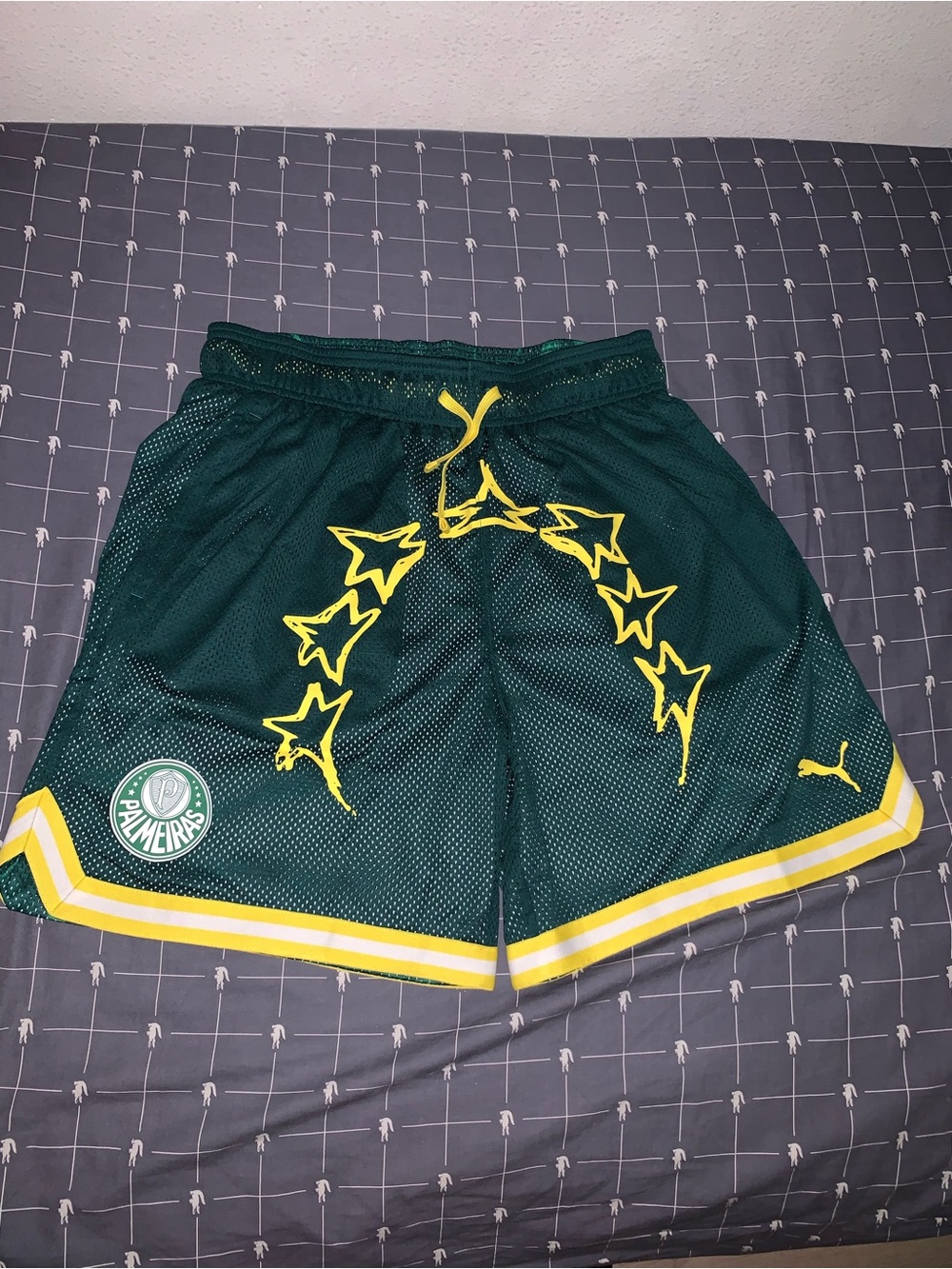 Club World Cup Puma Hoops x Palmeiras Reversible Green Mesh Shorts Size: Small